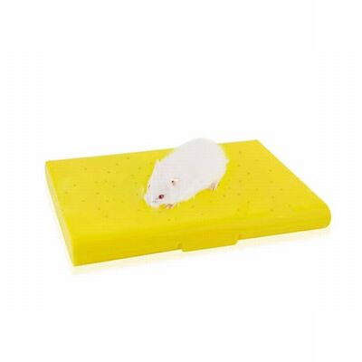 Eurogold Carno Cooling Hamster Bed with Ice Pack 14x10 cm