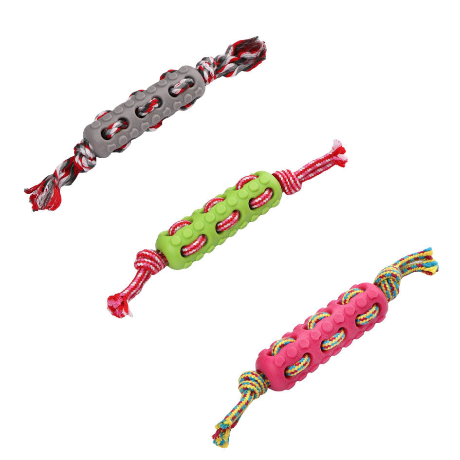 Eastland Rope & Plastic Dog Toy for Interactive Play 12.5cm