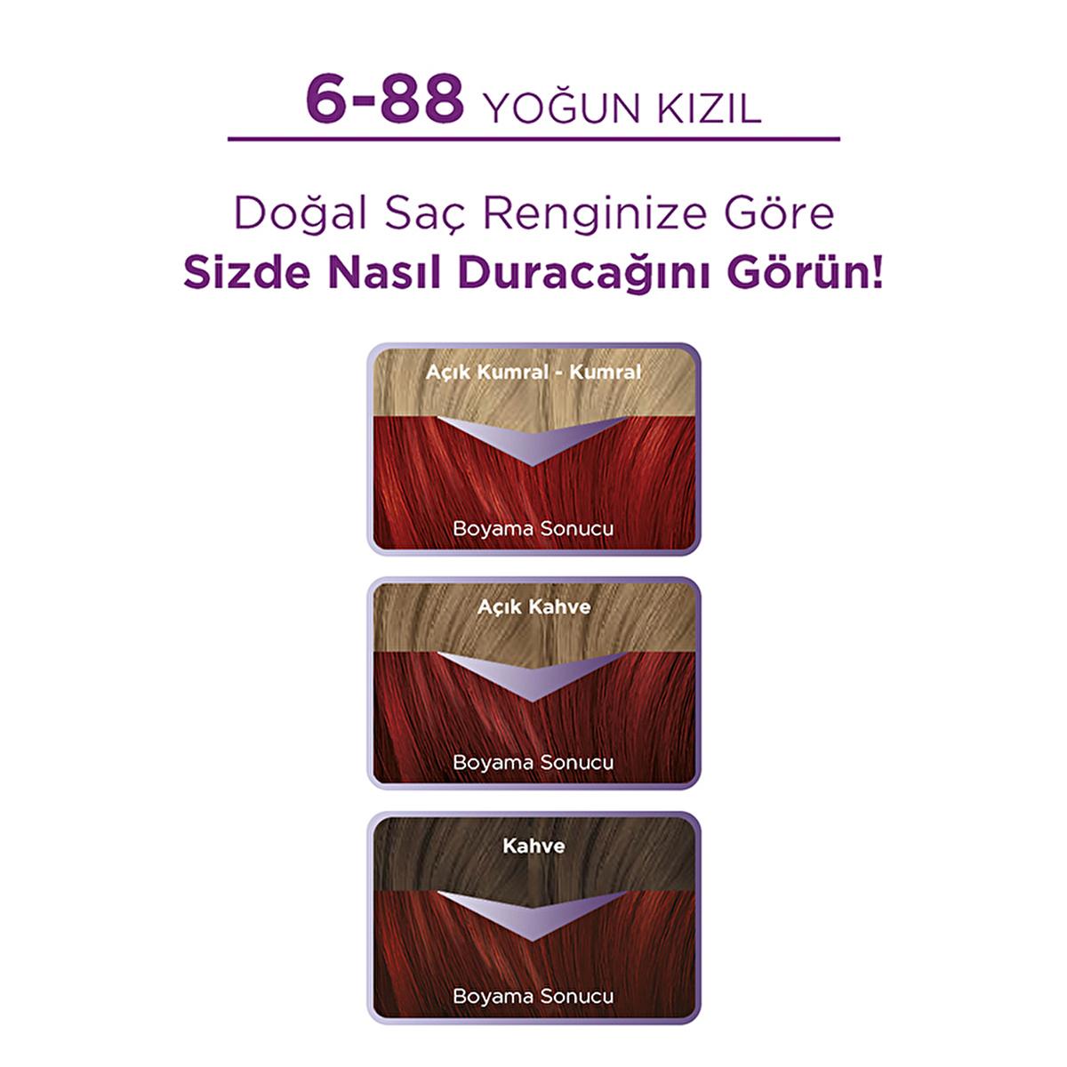 Palette Hair Dye - Vibrant, Nourishing, and Long-Lasting Color for Intense Shine