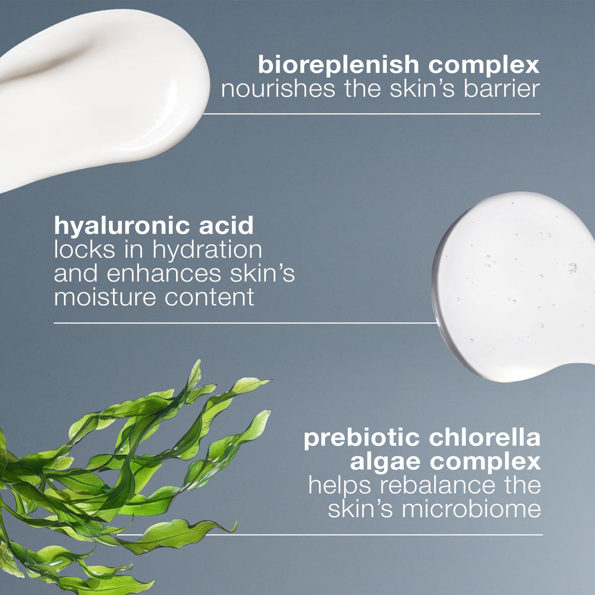 Dermalogica Intensive Moisture Balance Moisturizer for Dry Skin - Hydrating Skincare with Antioxidants & Natural Ingredients