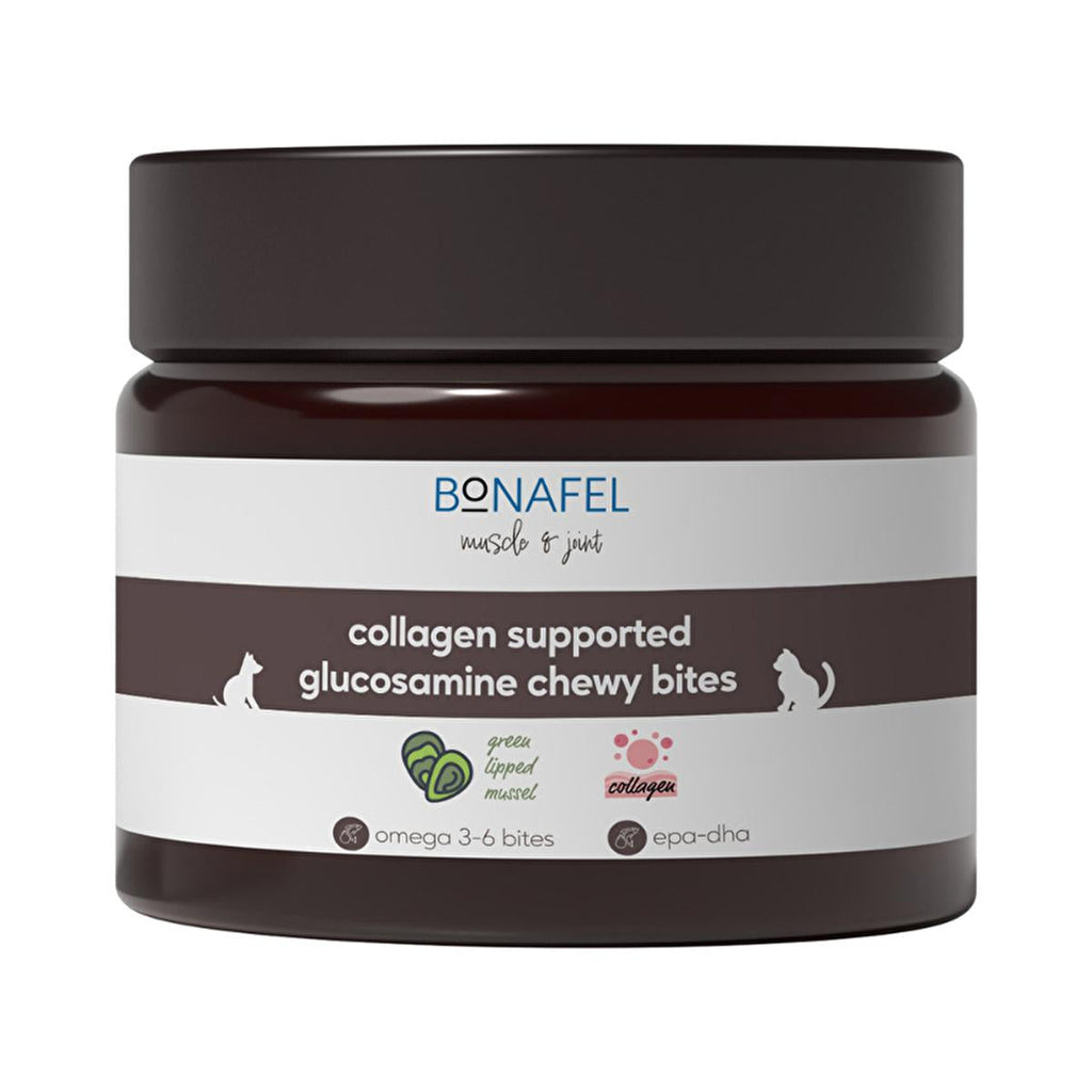 Bonafel Pet Supplement for Cats & Dogs - Glucosamine & Spirulina Chewable Tablets for Joint Health