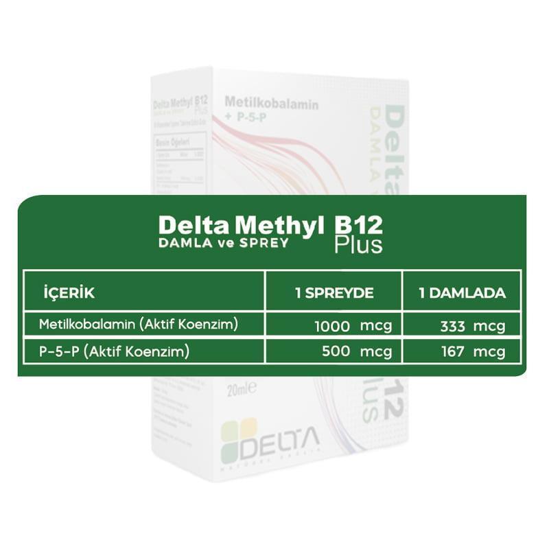 Delta Methyl B12 Plus: Fast-Absorbing Vitamin B12 Supplement Spray - Active Methylcobalamin, B6 & Herbal Sweetener