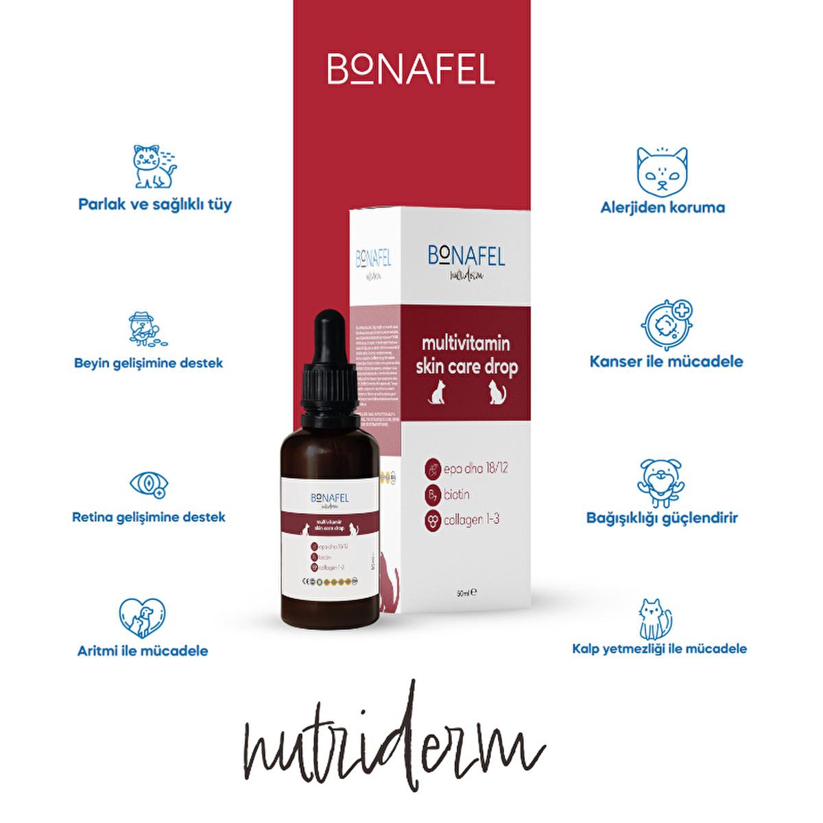 Bonafel Omega-3 Pet Supplement for Skin & Coat Health - Liquid Formula for Cats & Dogs