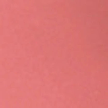 theBalm Purseworthy Lip Gloss Clutch 2.4g