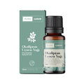 Pure Lueur Eucalyptus Essential Oil for Aromatherapy 10 ml