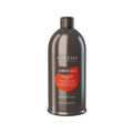 Alterego Italy Chromego Color Care Mask 950 ml