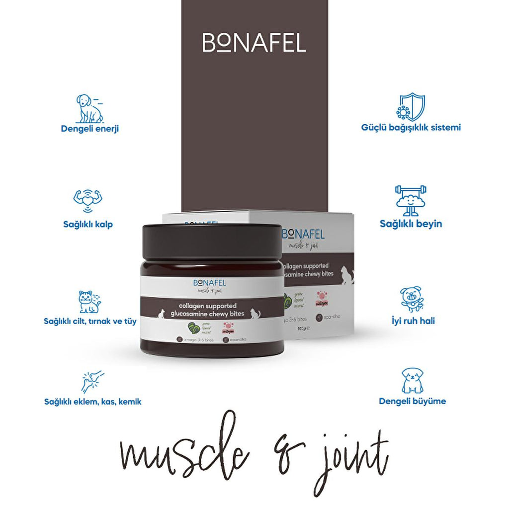 Bonafel Pet Supplement for Cats & Dogs - Glucosamine & Spirulina Chewable Tablets for Joint Health