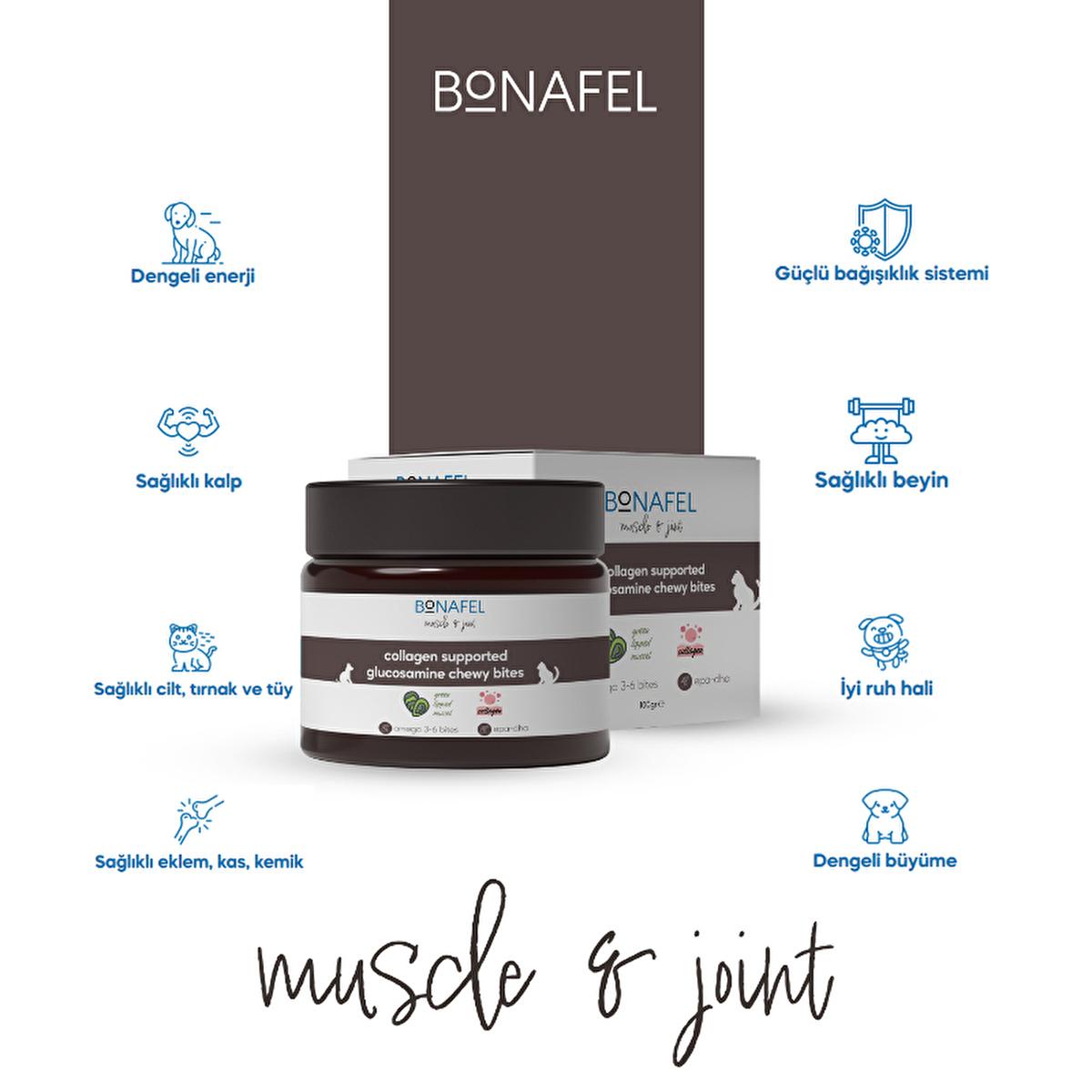 Bonafel Pet Supplement for Cats & Dogs - Glucosamine & Spirulina Chewable Tablets for Joint Health