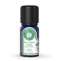 Arotolia Sweet Fennel Essential Oil for Aromatherapy 10 ml