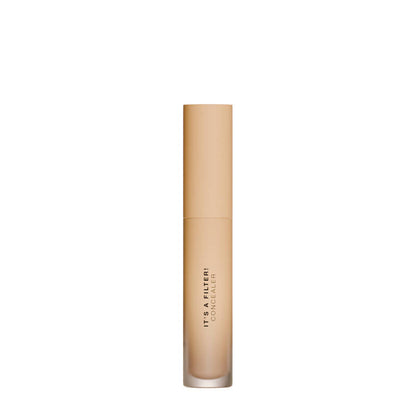Diego Dalla Palma It's A Filter Concealer 135 C