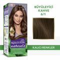 Wella Koleston Naturals Hair Color 6/1 Dark Ash Blonde