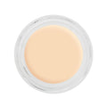 Kryolan Digital Complexion Cream Foundation Y22 12g