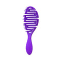 Tarko Lionesse 3D Detangling Hair Brush 6450