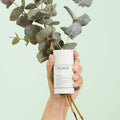 Caudalie Vinofresh Natural Deodorant Stick - Effective, Chemical-Free, 50g