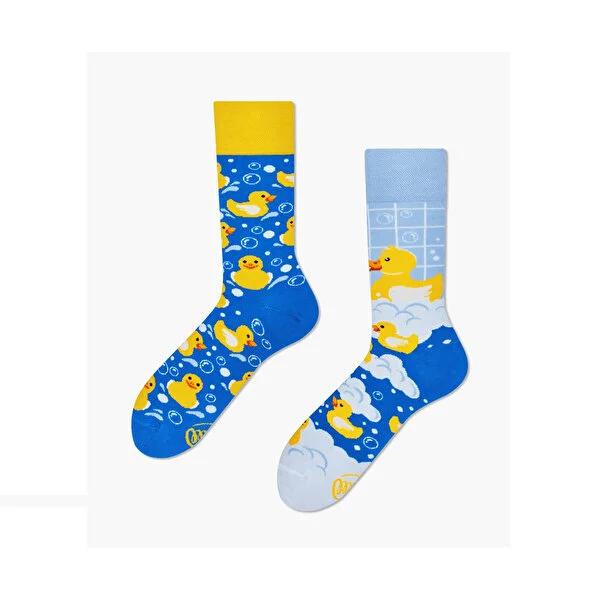 Carnaval Cotton Socks with Reinforced Heel & Toe - Comfort & Durability for Men & Women, Size 37-44