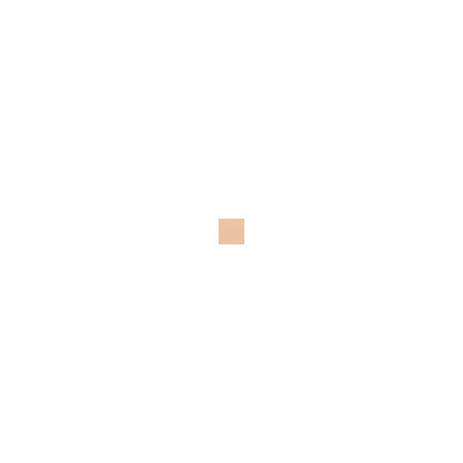 Giorgio Armani Luminous Silk Foundation Shade 06