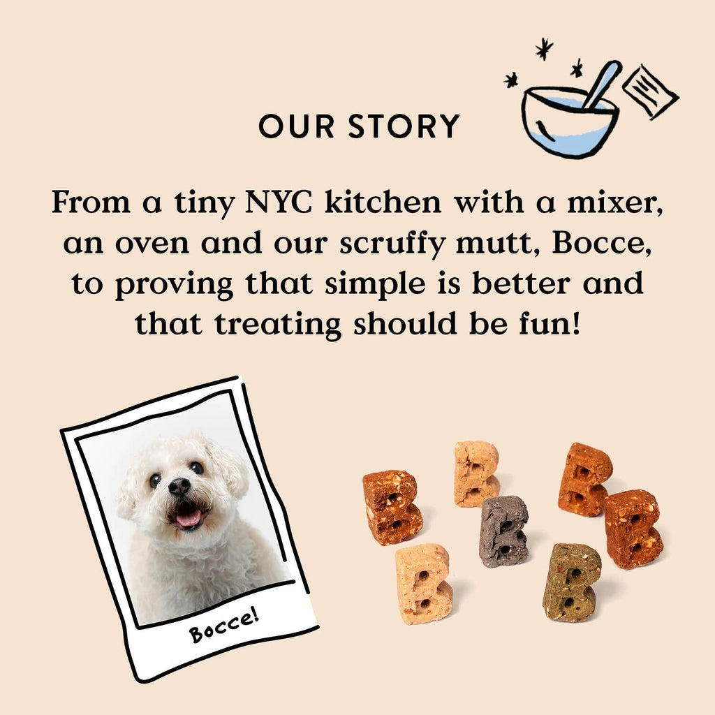 BestBy01/25 Bocce's Bakery Good Hair Dog Treats Salmon 6oz Soft Chewy Wheat-Free