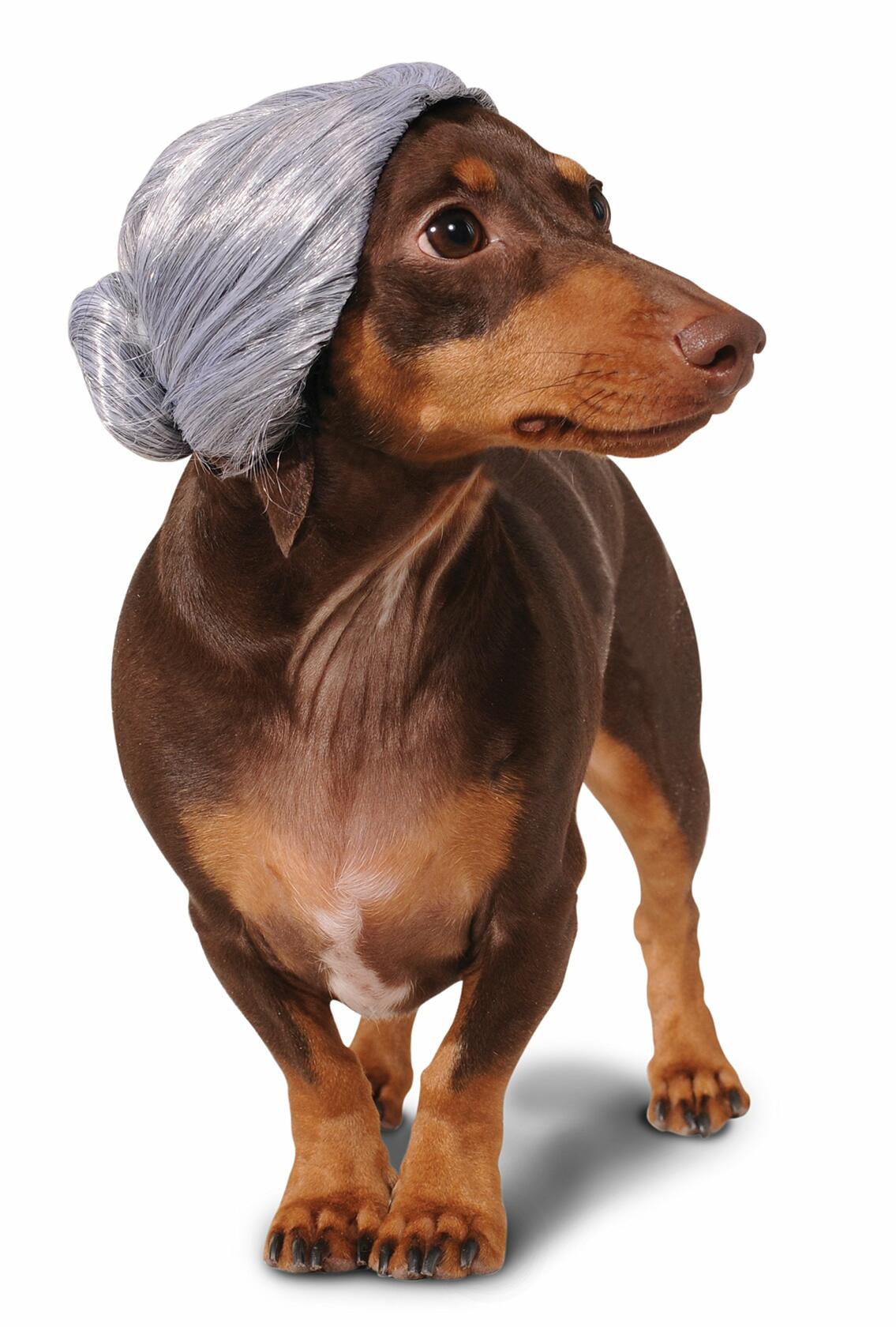 Rubies Rastafarian Pet Costume for Dogs or Cats Size XL