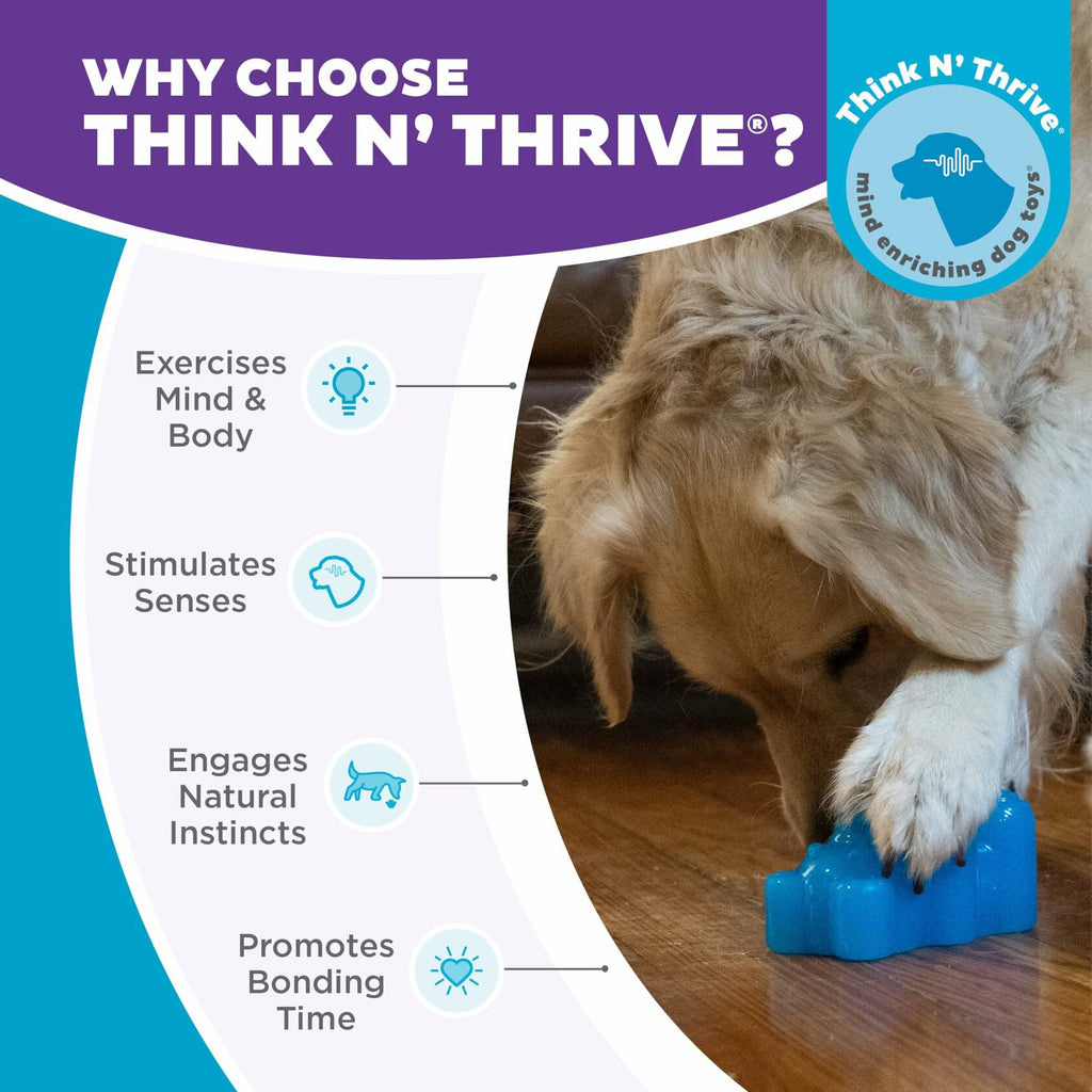 Outward Hound Gummiez Bear Dog Toy & Treat Stuffer 4.7" Blue Raspberry