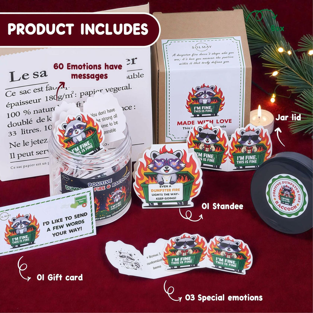 SOLMAY Funny Raccoon Dumpster Fire Affirmation Jar, 60 Sarcastic Notes
