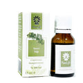 Panlife Cypress Essential Oil for Aromatherapy 15 ml