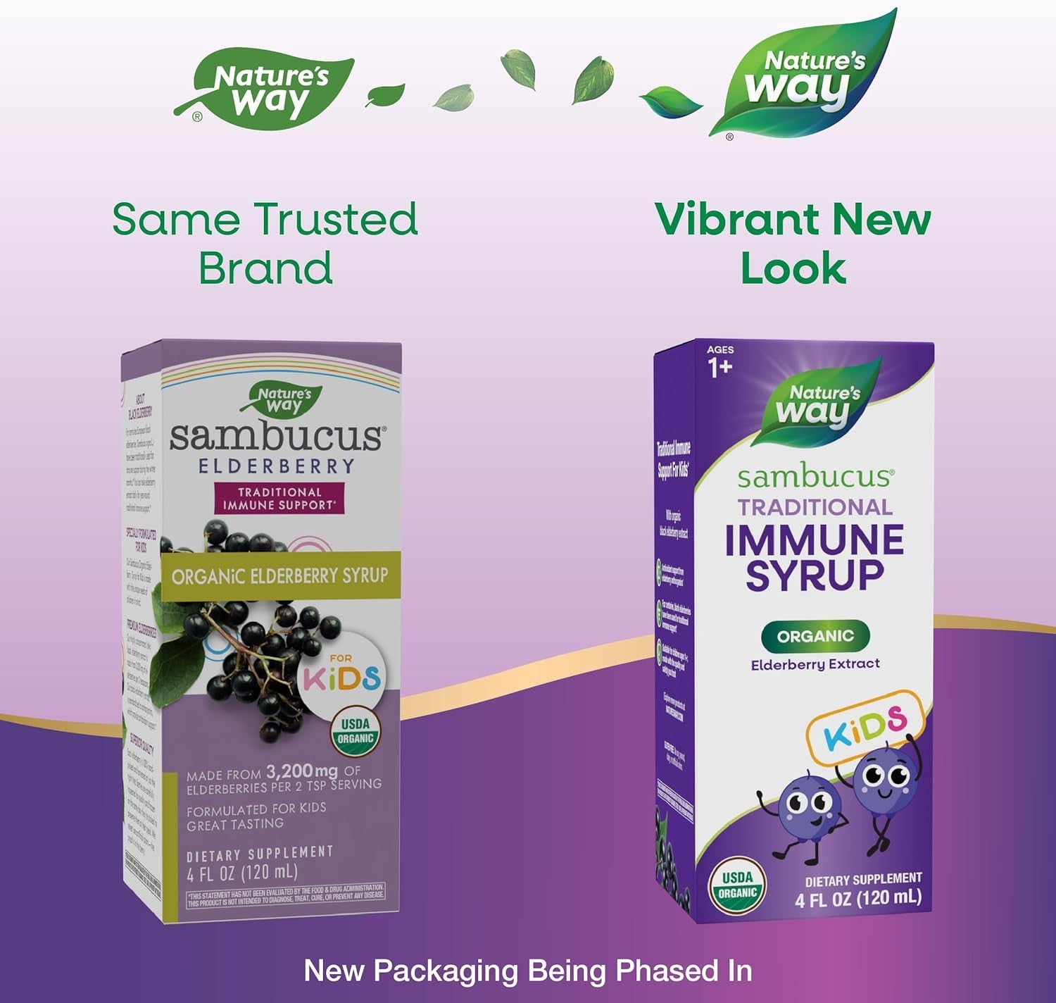 Nature's Way Sambucus Kids Organic Elderberry Syrup Berry Flavor 4 Fl Oz