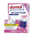 Domol Toilet Rim Block Refill Spring Freshness Scent 80g