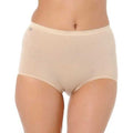 Triumph Sloggi Basic Maxi Briefs Comfort Underwear Nude