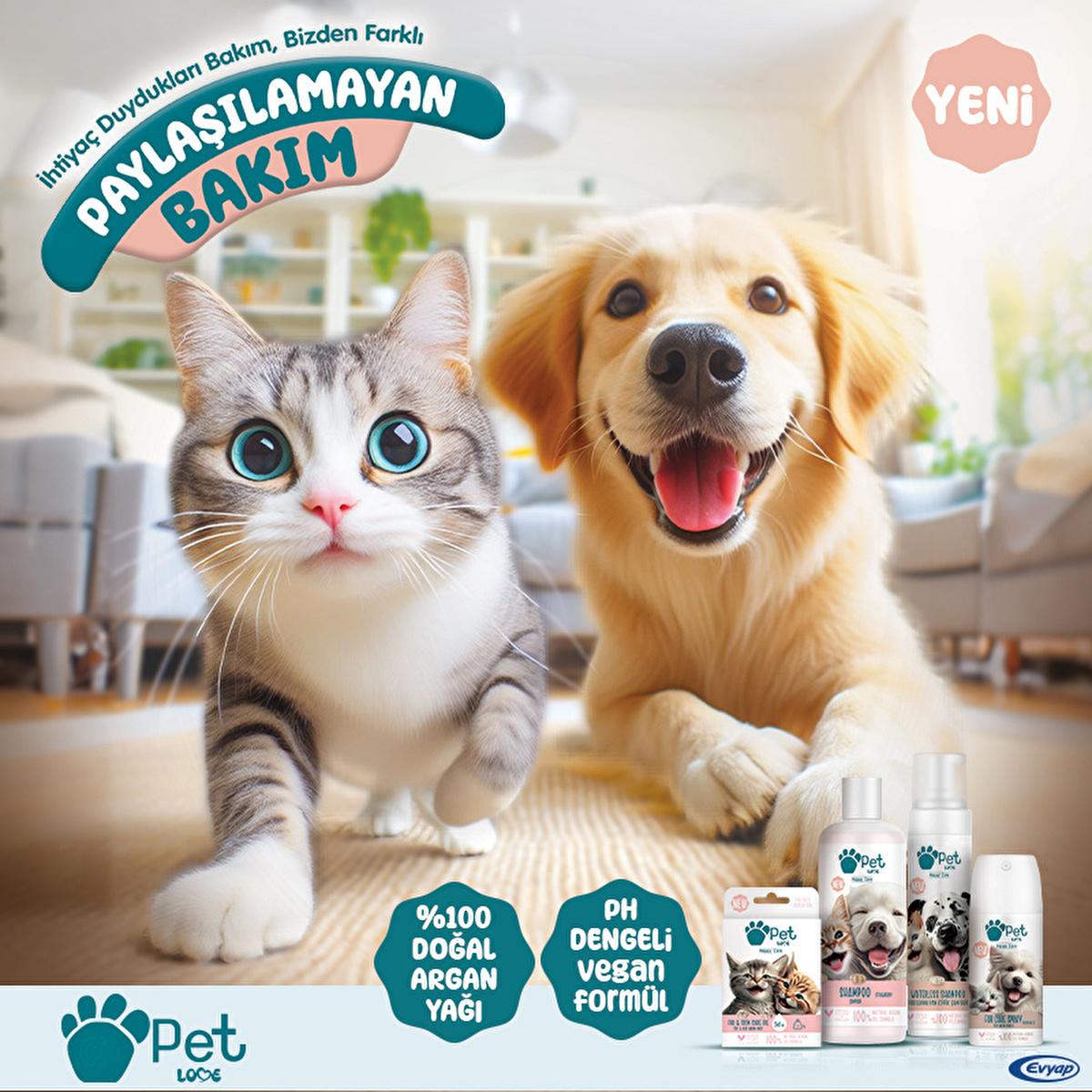 Pet Love Argan Oil Pet Shampoo for Cats and Dogs - 7.61 fl oz, Natural Fur Care