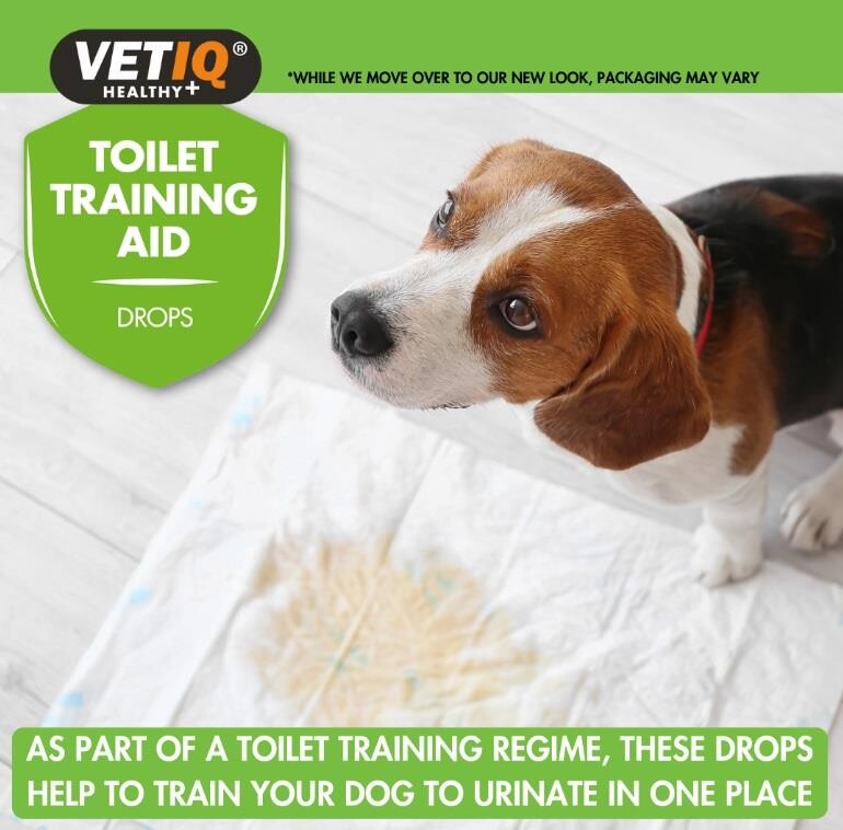 Vet IQ Training Aid Puppy Potty Training Drops 60 ml