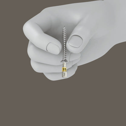 Wera Bit-Box 20 TORX® Bits HF TX 25 x 25mm 20 Pieces 05057778001